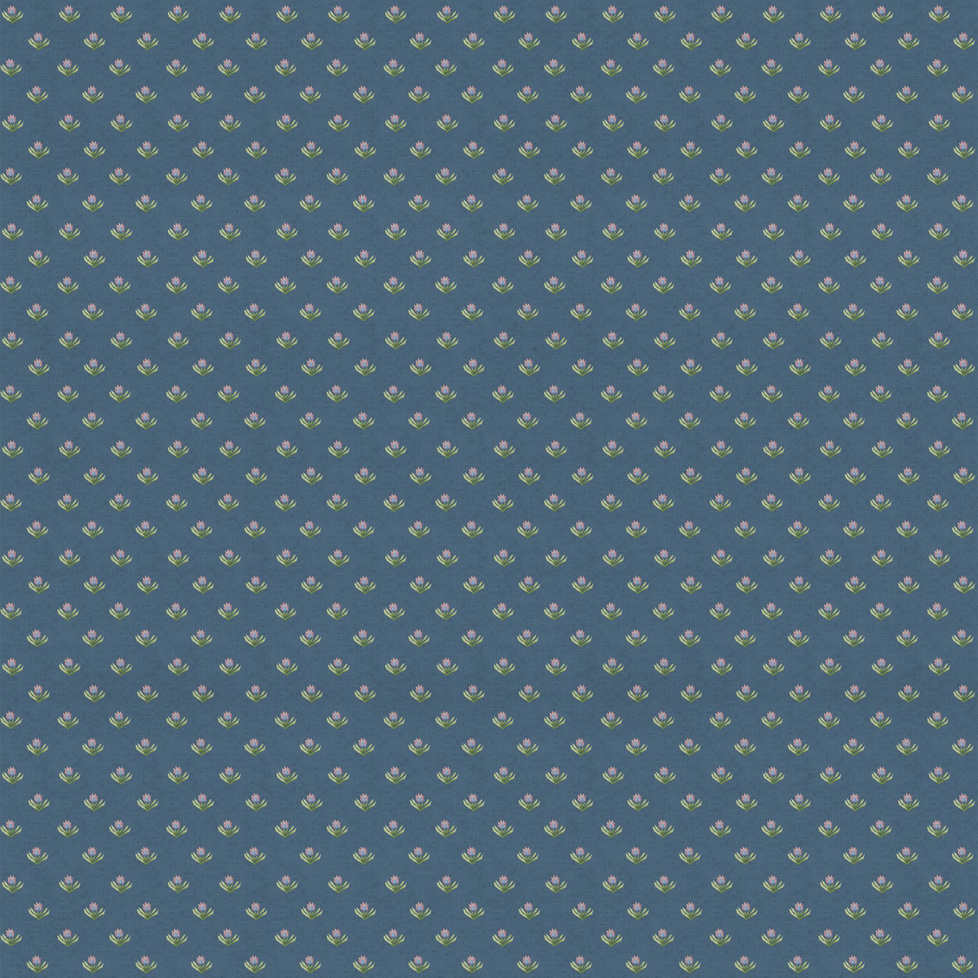 Denim Raja Fabric