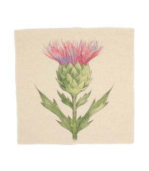 Thistle Pink Cushion Panel