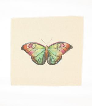 Butterfly Natural Cushion Panel