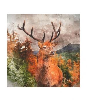 Glenmore Forest Stag Cushion Panel